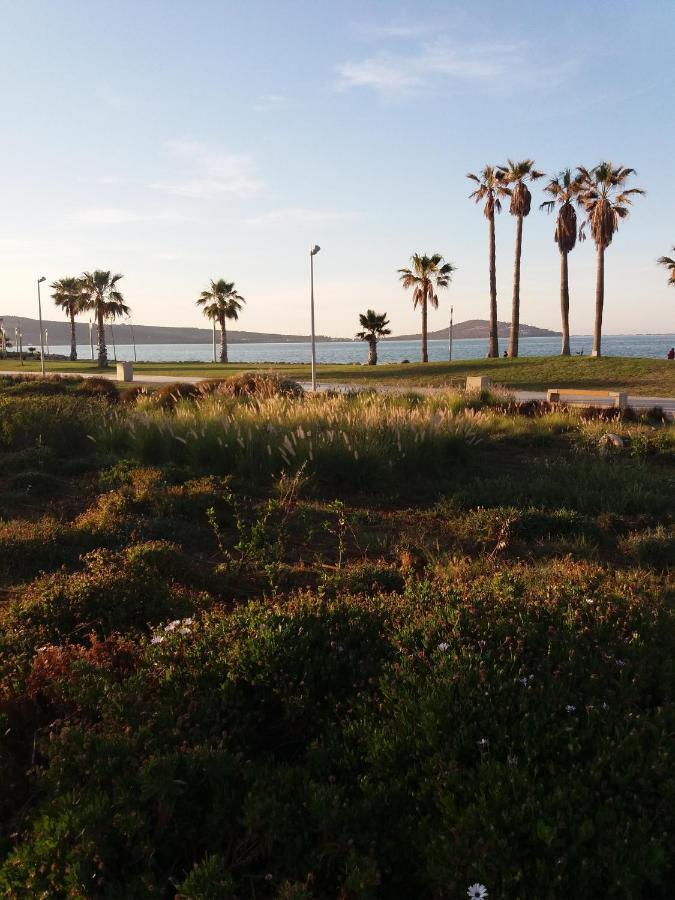 Apartment Nador Rif 외부 사진